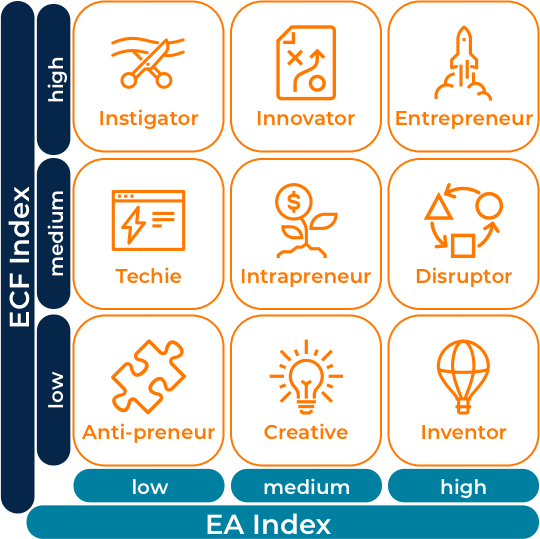 The grid shows 9 different entrepreneur types on a 9x9 grid. Moving top left to bottom right the types are Instigator (high competence, low aptitude), Innovator (high competence, medium aptitude), Entrepreneur (high competence, high aptitude), Techie (medium competence, low aptitude), Intrapreneur (medium competence, medium aptitude), Disruptor (medium competence, low aptitude), Anti-preneur (low competence, low aptitude), Creative (low competence, medium aptitude), Inventor (low competence, high aptitude).